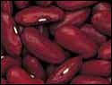 beans dkred