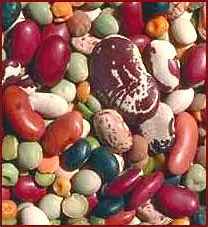 beans mixed