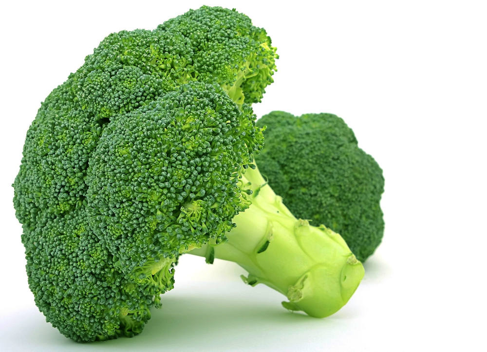 broccoli-isolated-photo