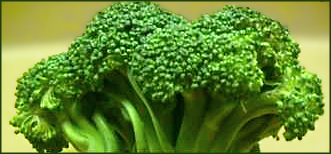 broccoli banner