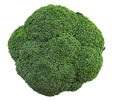 broccoli top view small