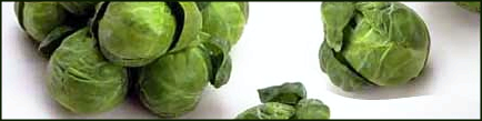 brussel sprouts banner