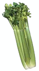 celery/