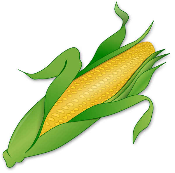 corn on cob clip art