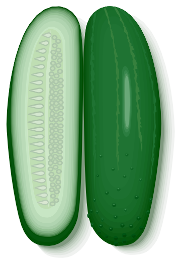 cucumber sliced lengthwise