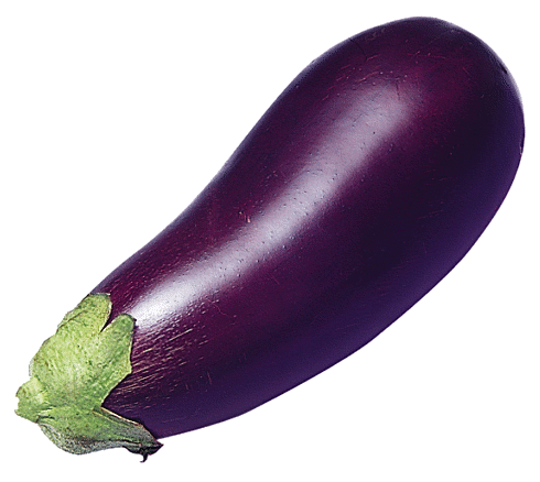 eggplant photo