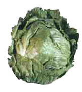 lettuce sm