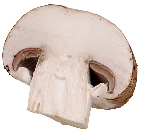 baby portabella mushroom sliced