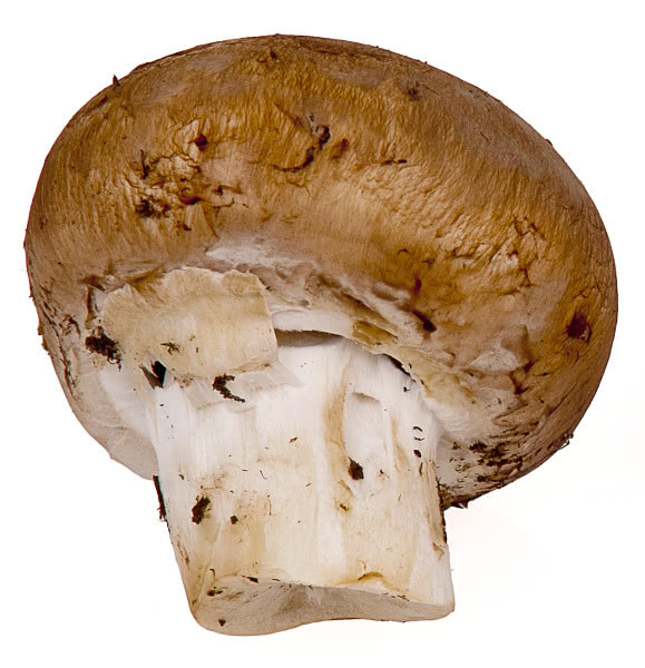 baby portabella mushroom whole