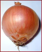 onion 2