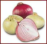 onion 4