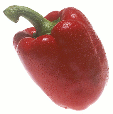 pepper red bell