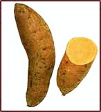 sweet potato 2