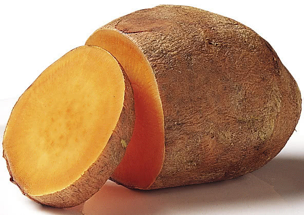 sweet potato large
