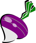 turnip/