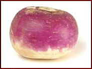 turnip 2