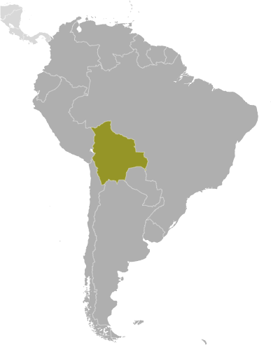 Bolivia location