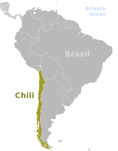 Chili location label