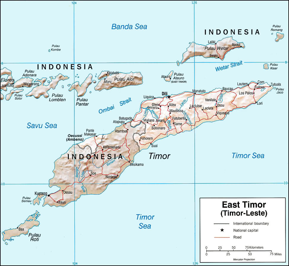 East Timor political 2003