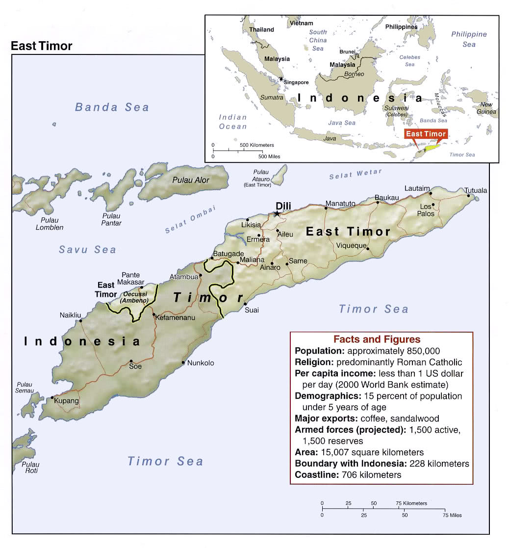 East Timor relief map