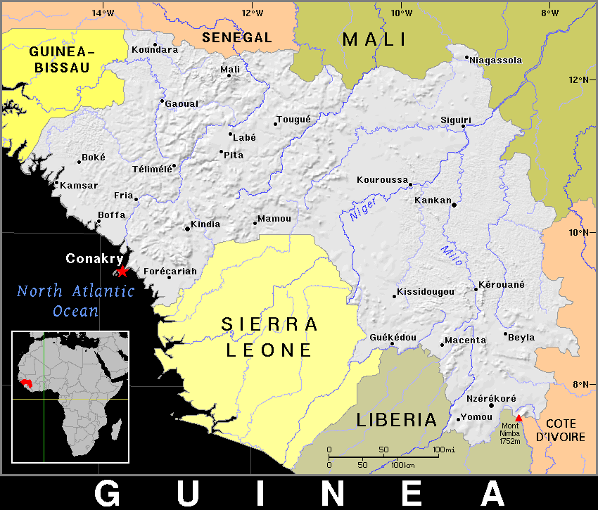 Guinea dark