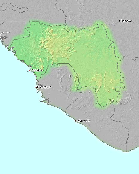 Guinea topographic