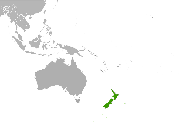 New Zealand location