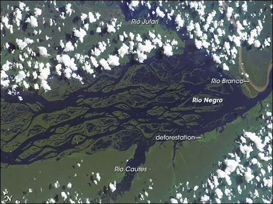 Rio Negro  Amazonia  Brazil