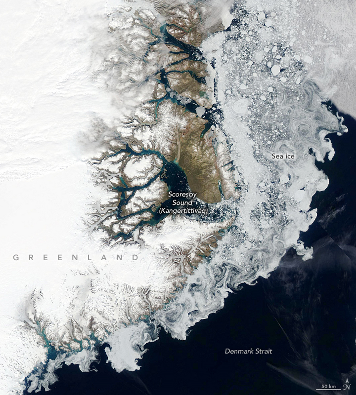 Sea ice in Denmark Strait  Greenland