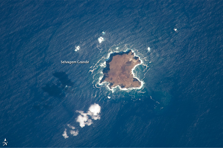 Savage Islands  Atlantic Ocean
