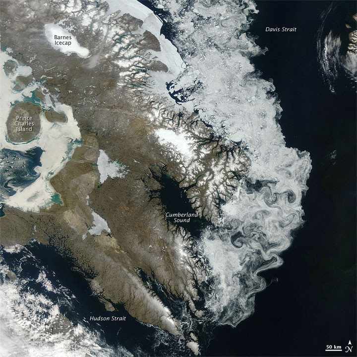 sea ice off Baffin Idsland