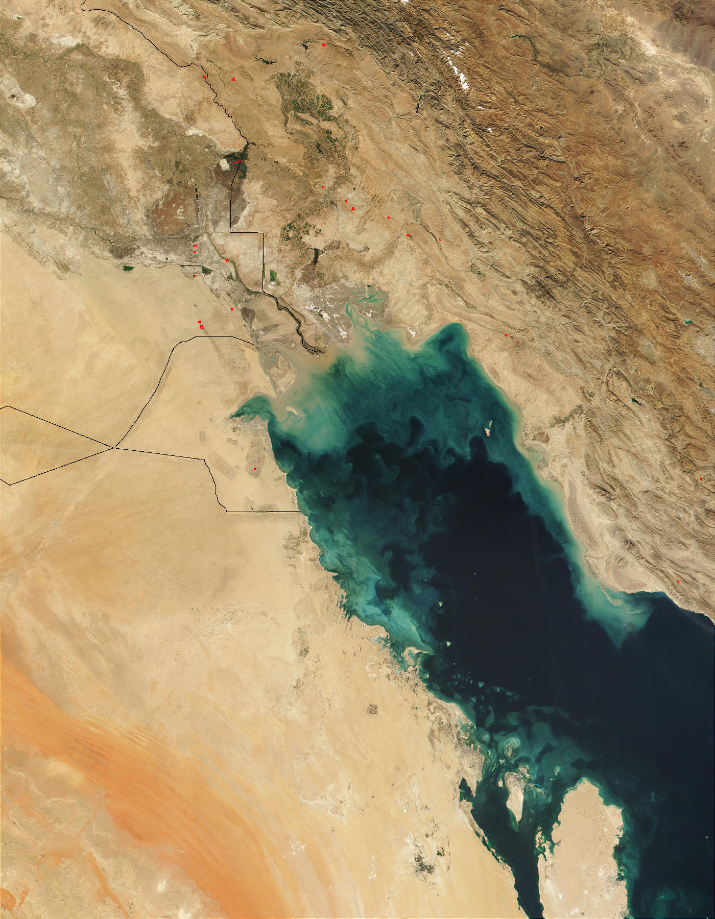plankton bloom in Persian Gulf