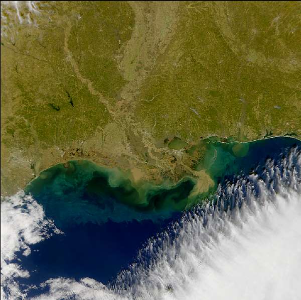 Gulf coast sediments