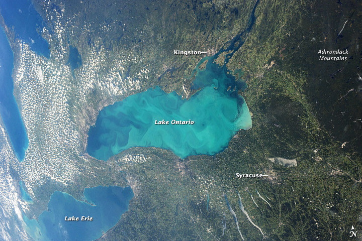 Lake Ontario plankton