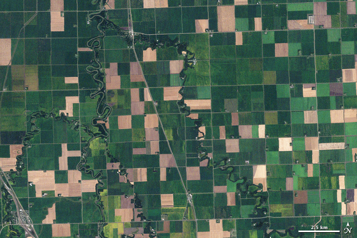 farmland in Minnesota