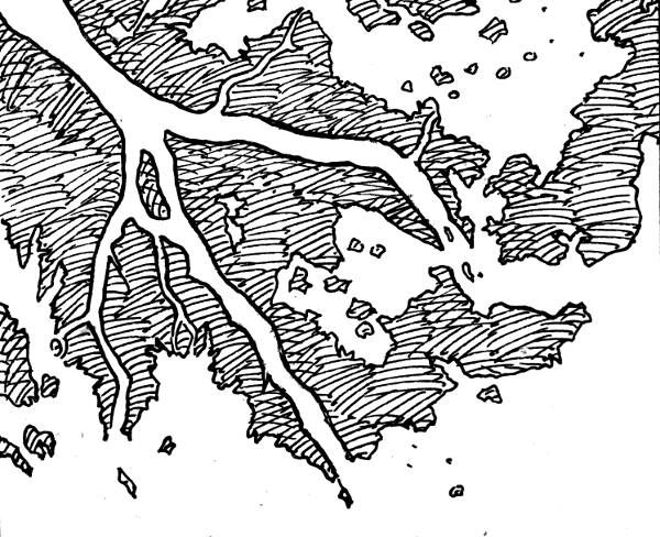 river delta