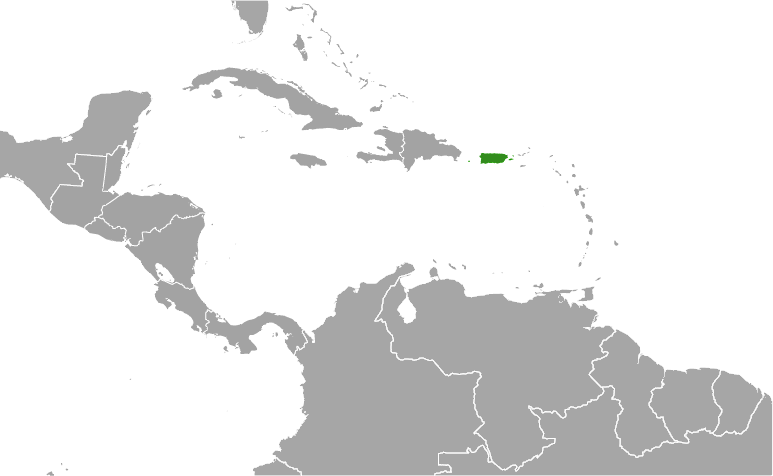 Puerto Rico location