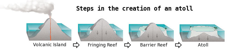 steps in the creation of an atoll