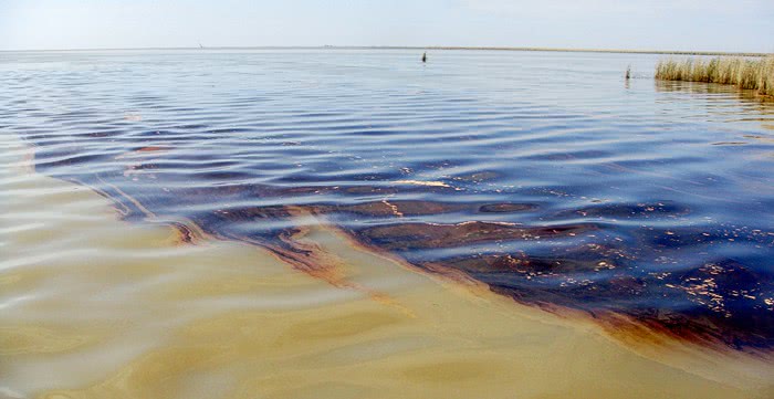 Lousiana Oil Spill