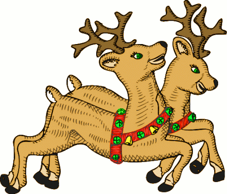 reindeer pair
