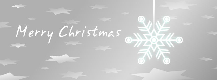 facebook cover silver flakes merry