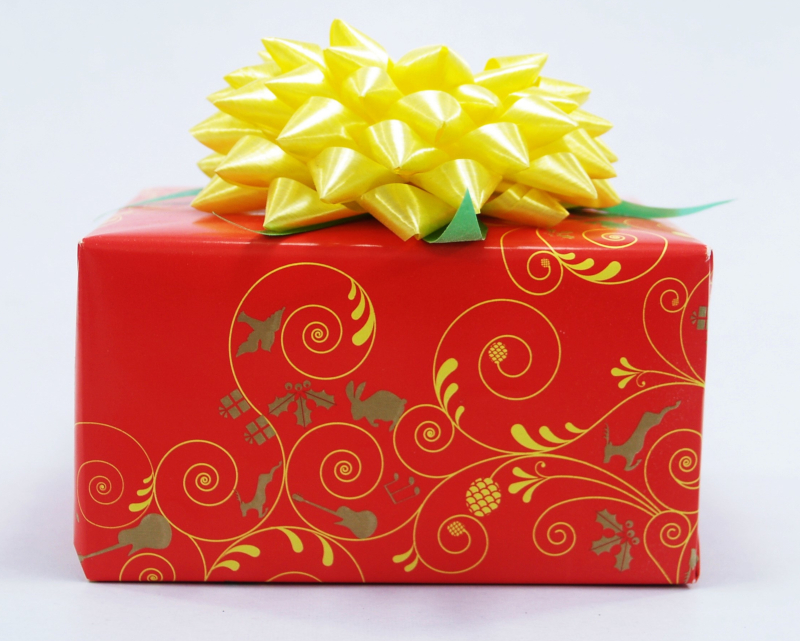 Christmas package isolated