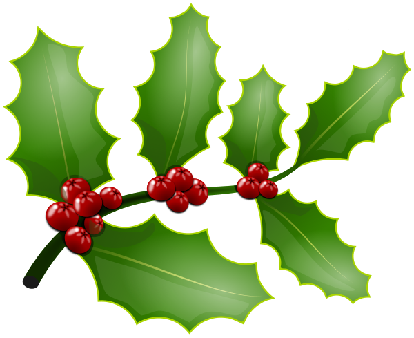 holly branch berries