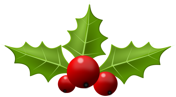 Christmas Holly Pictures 1 2 - Holly With Berries, png