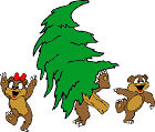 tree bears