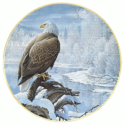 eagle by frozen lake