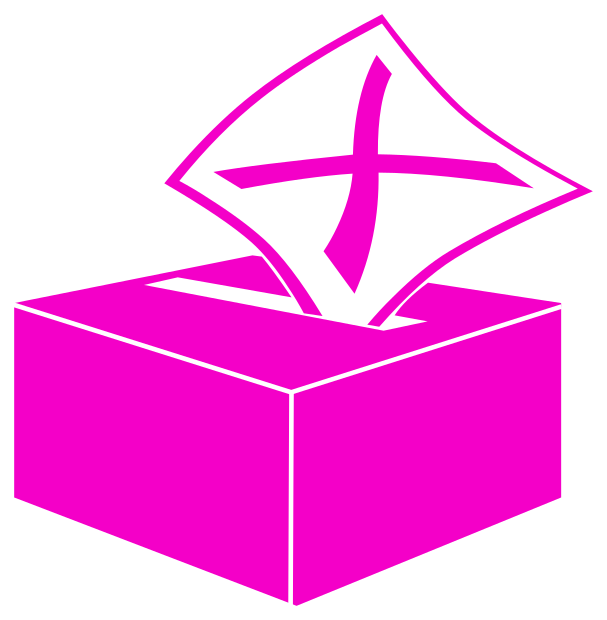 Ballot Box icon pink
