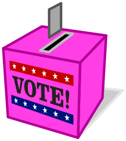 vote box pink