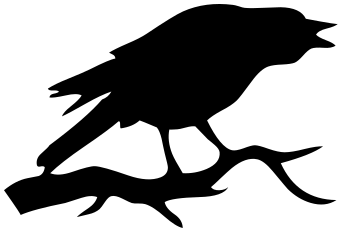 Raven on branch