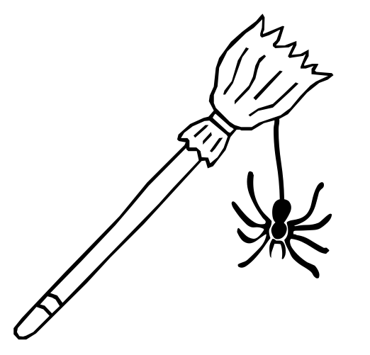 broomstick spider